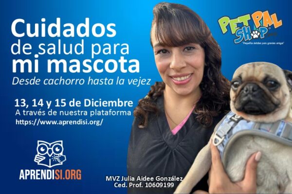Cuidados de salud para mi mascota